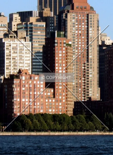 Photo 445-476-754