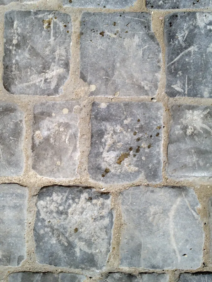 Photo 445-667-783