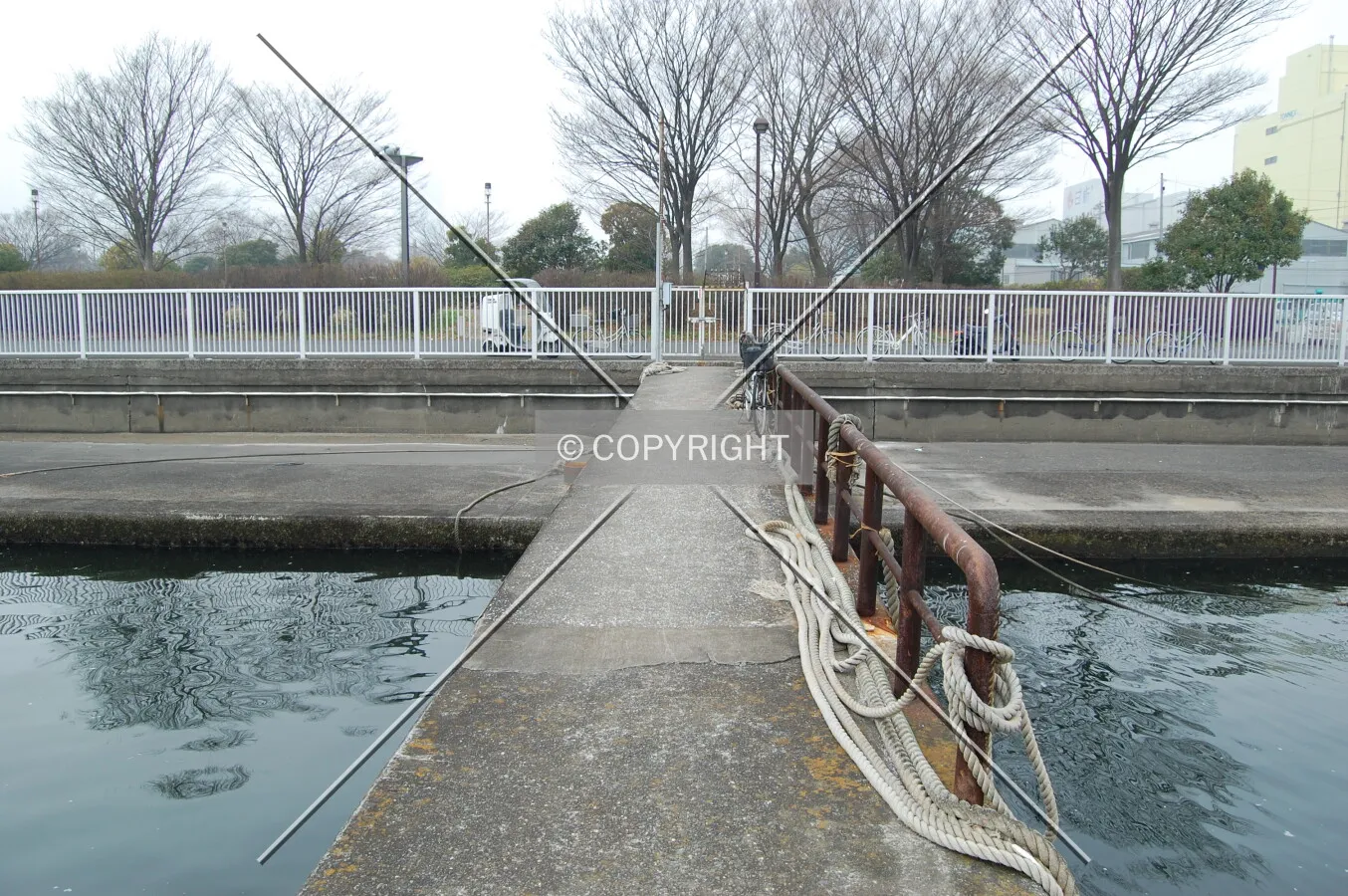Photo 445-732-845