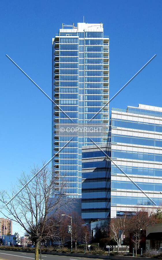 View from the south