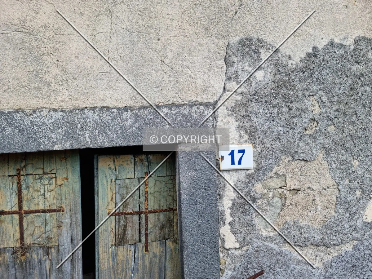 Photo 445-913-115