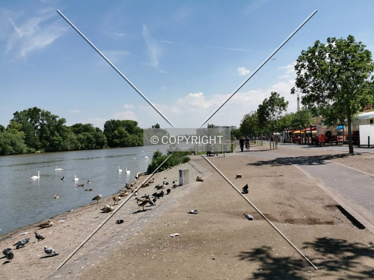 Photo 446-239-332