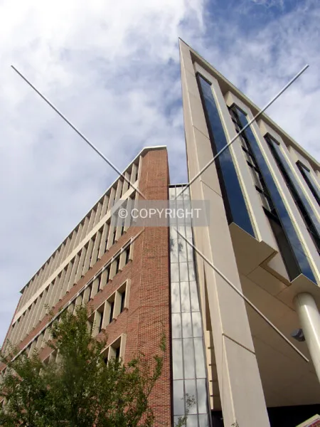 Photo 446-461-843