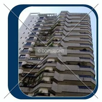 Photo 446-649-941