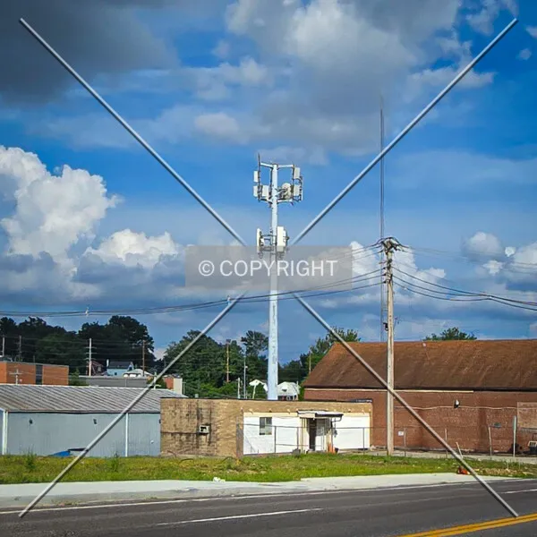 Photo 446-663-744