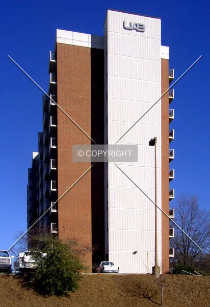 Photo 446-771-211