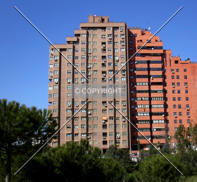 Photo 446-815-954
