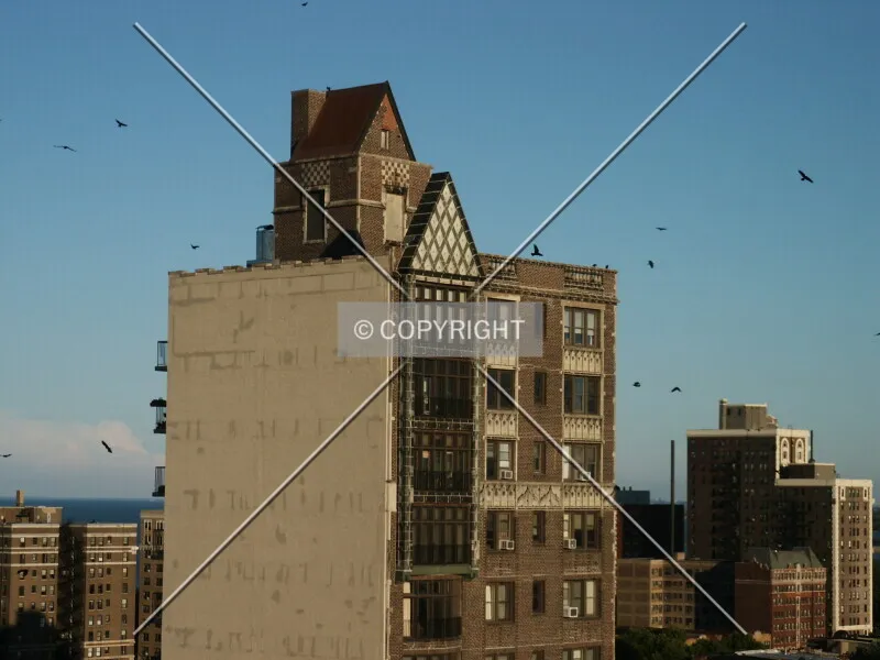 Photo 446-885-082
