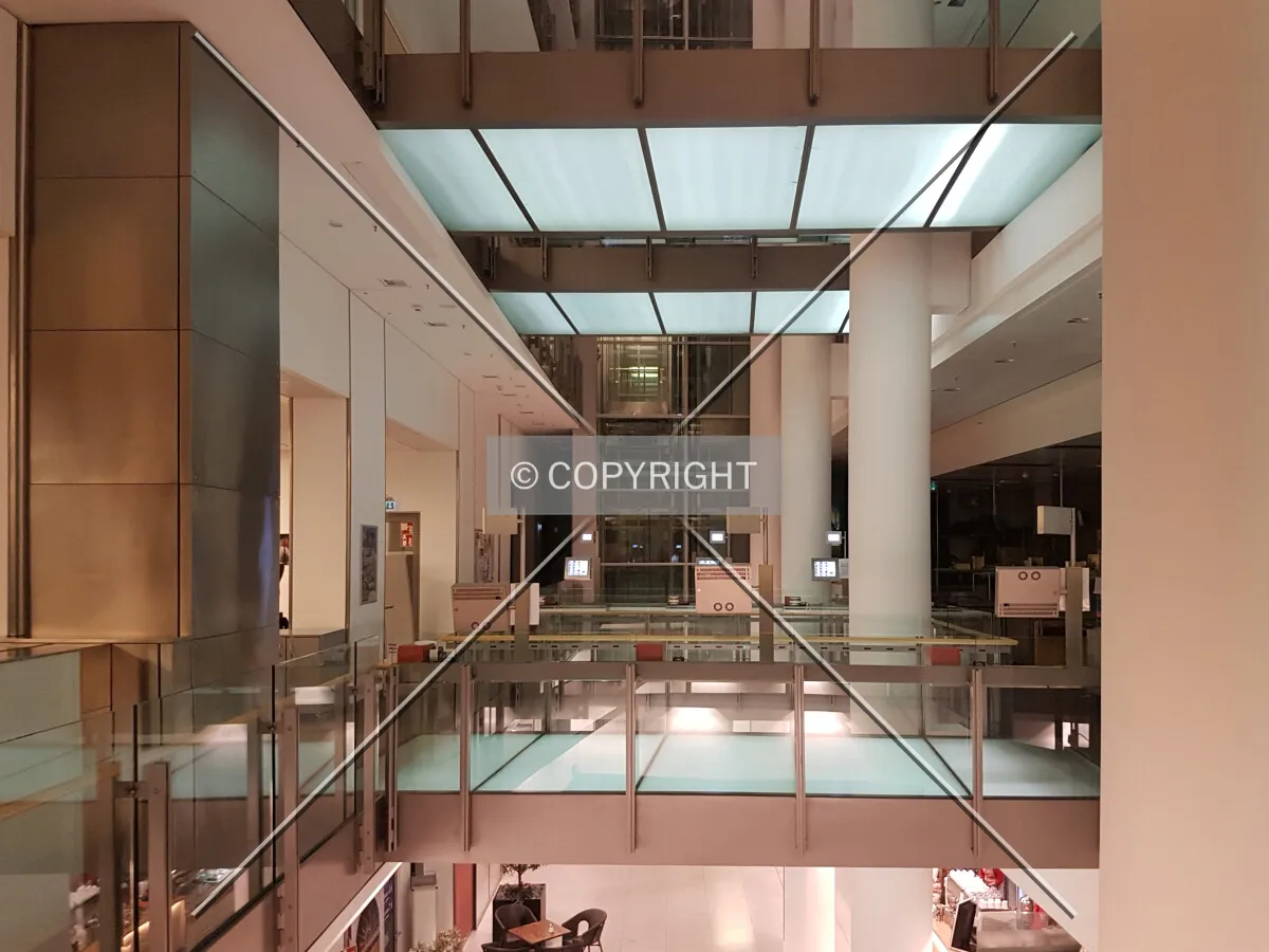 Photo 446-903-525