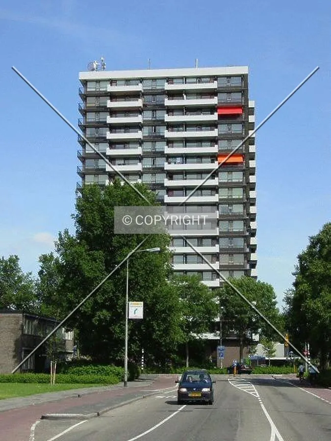 View from Sportlaan