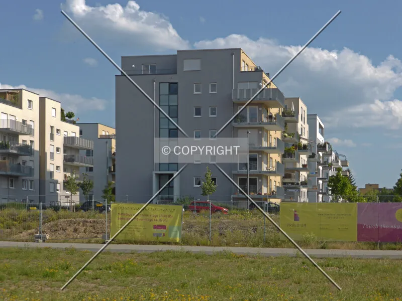 Photo 447-011-437