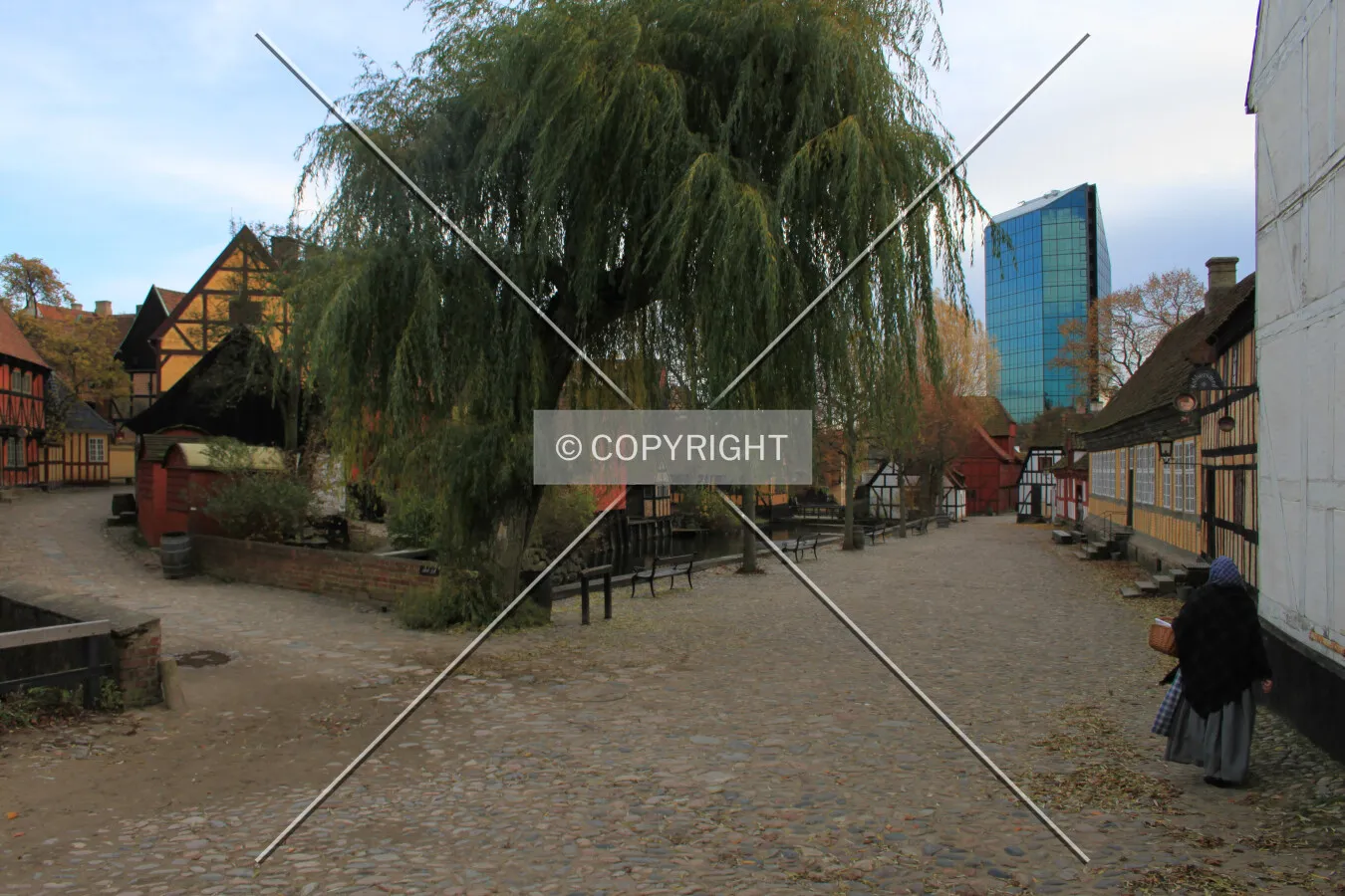 Photo 447-217-786