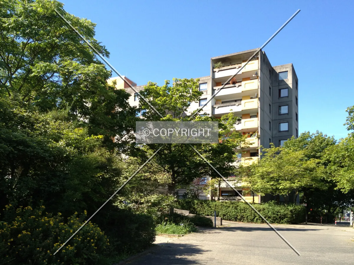 Photo 447-294-264