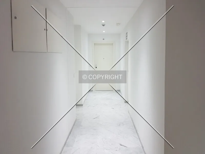 Photo 447-320-772