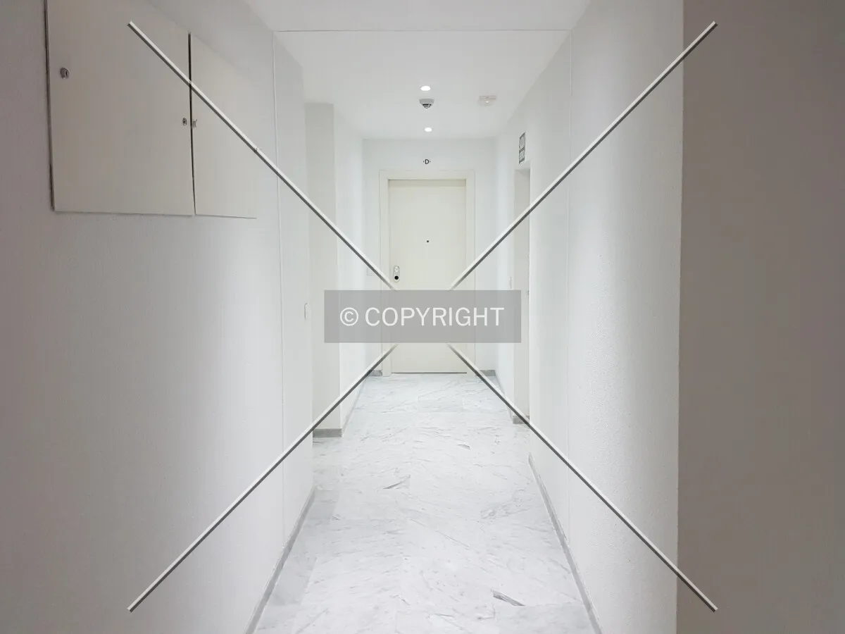 Photo 447-320-772
