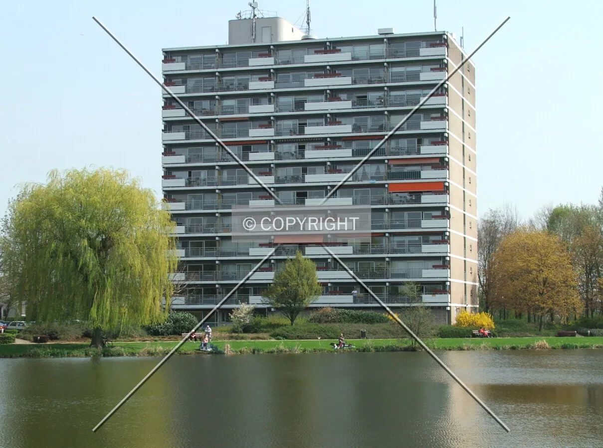 View from the west