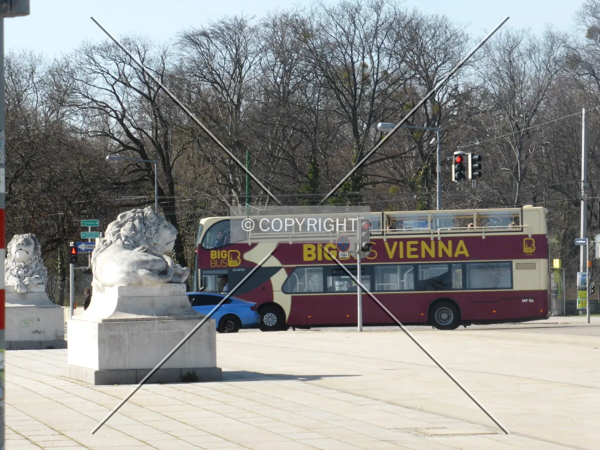 Photo 447-413-314
