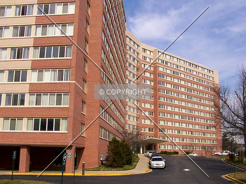 Photo 447-489-461