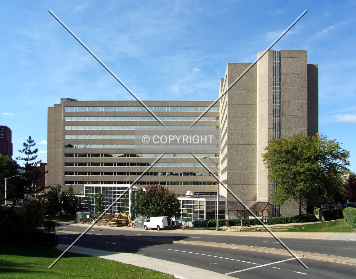 View from the northeast