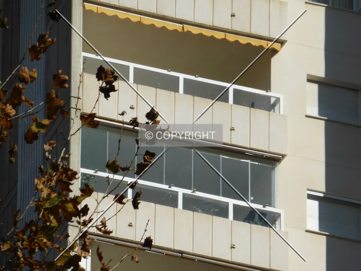 Photo 448-134-677