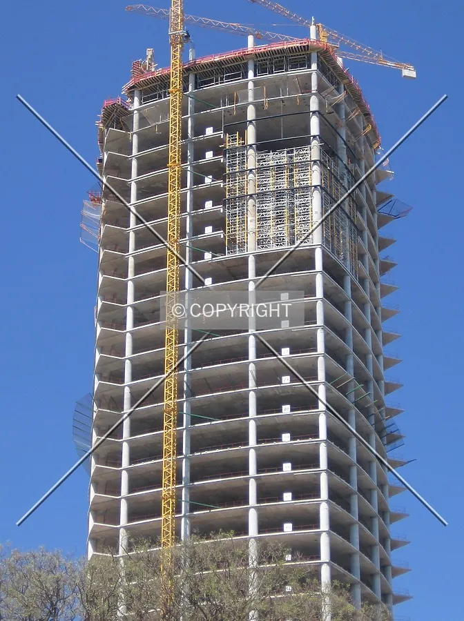 Photo 448-282-539