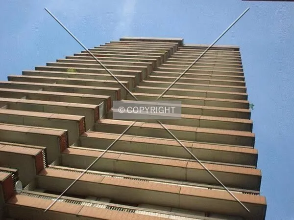 View to the top