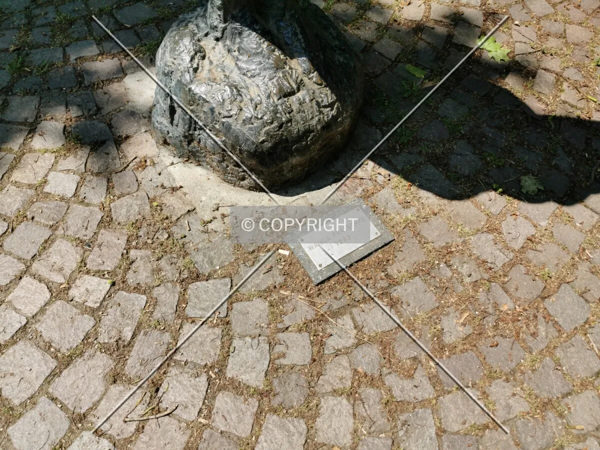 Photo 448-348-831