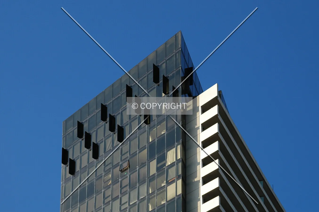Top the south side