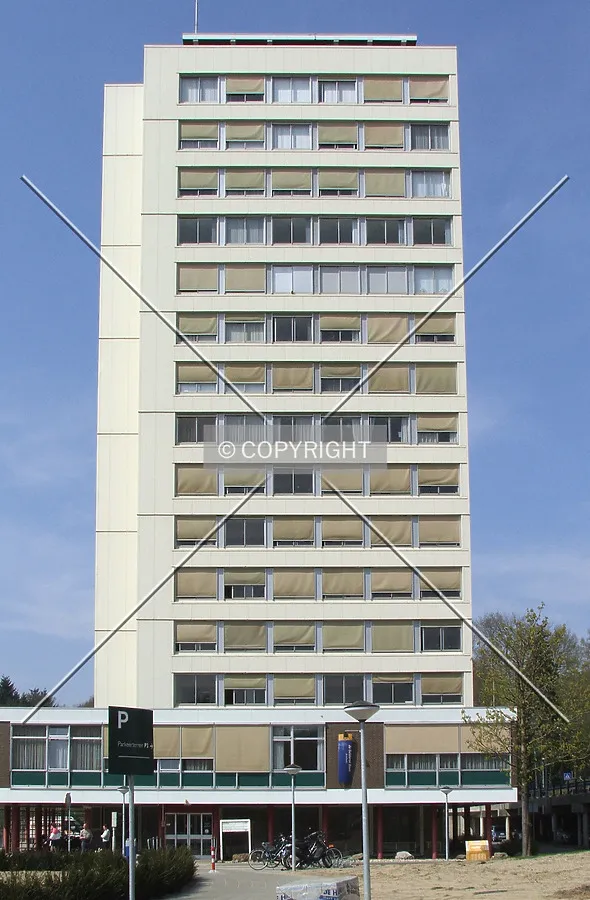 View from the east