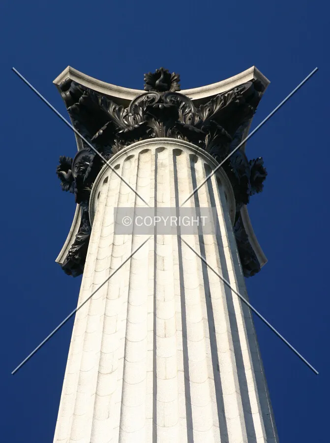 Looking up to the Acanthus-leaved capital
