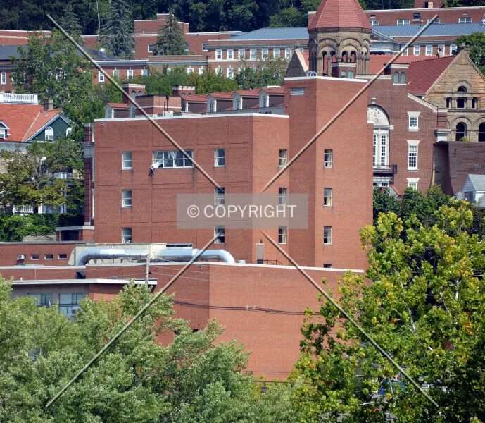 Photo 449-001-875