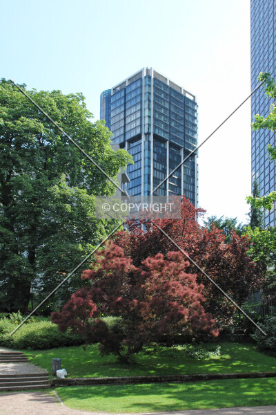 Photo 449-002-447