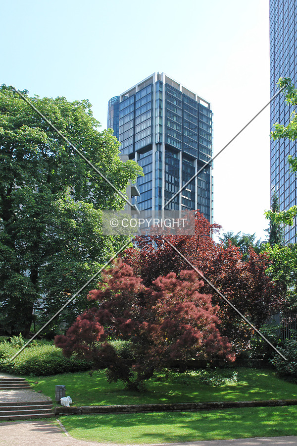 Photo 449-002-447