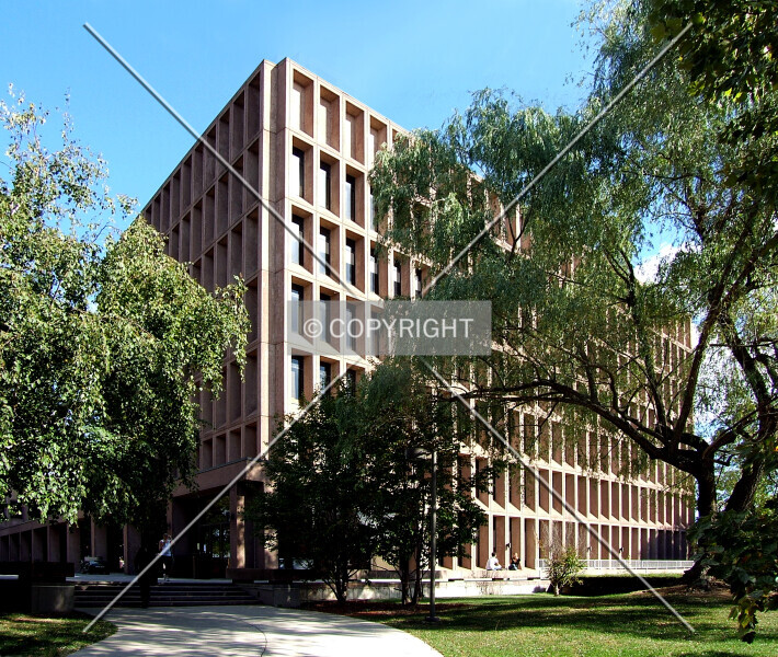 Photo 449-173-530