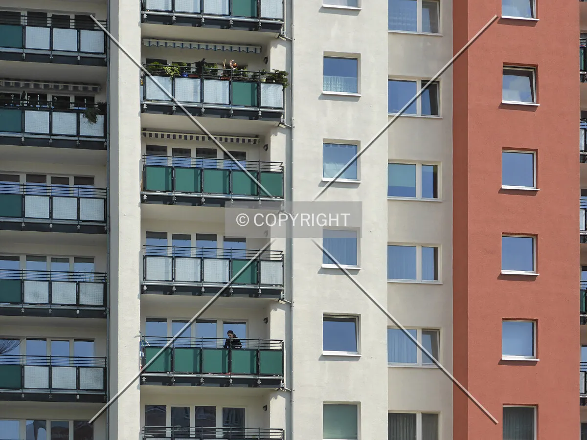 Photo 449-197-290
