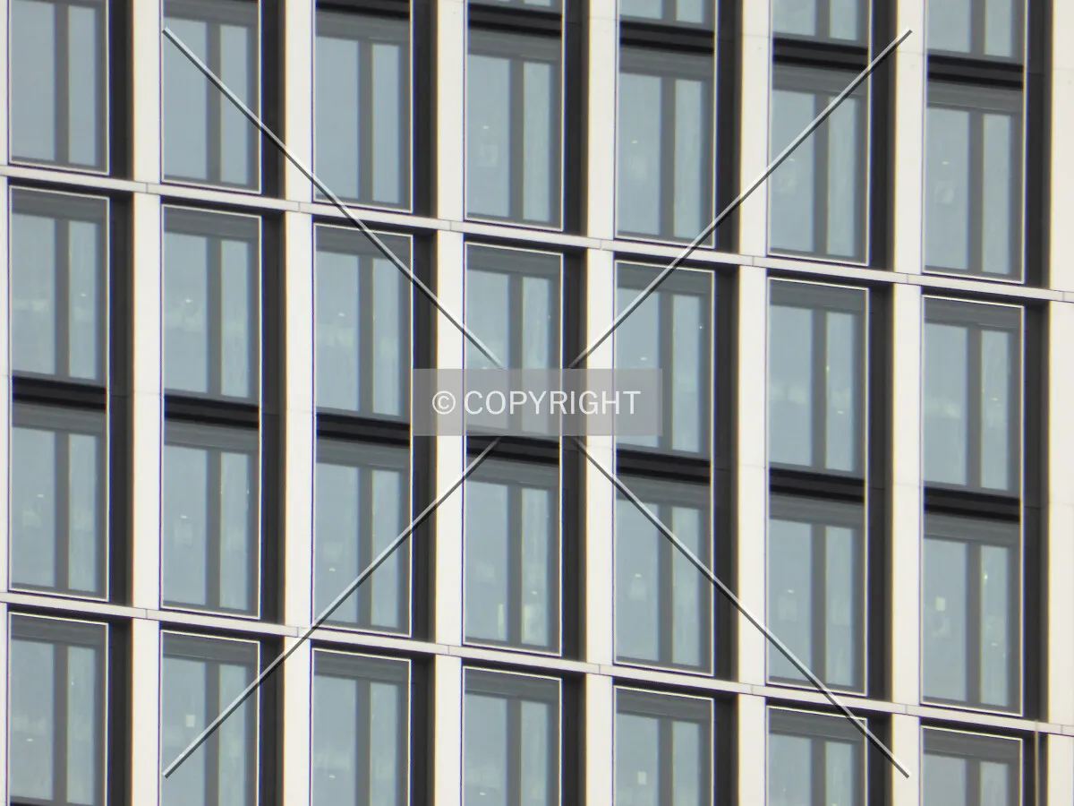 Photo 449-314-516