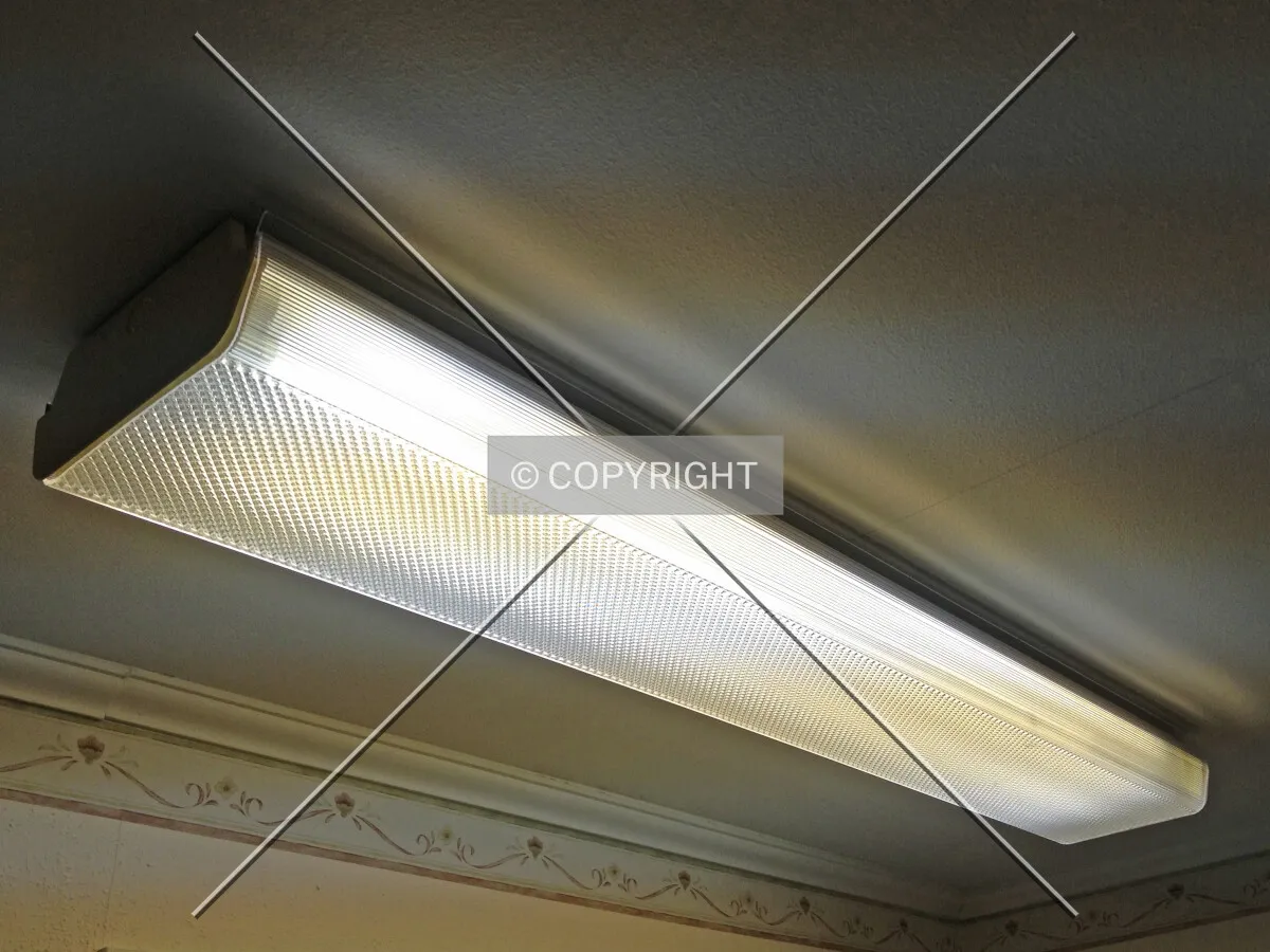 A fluorescent lamp
