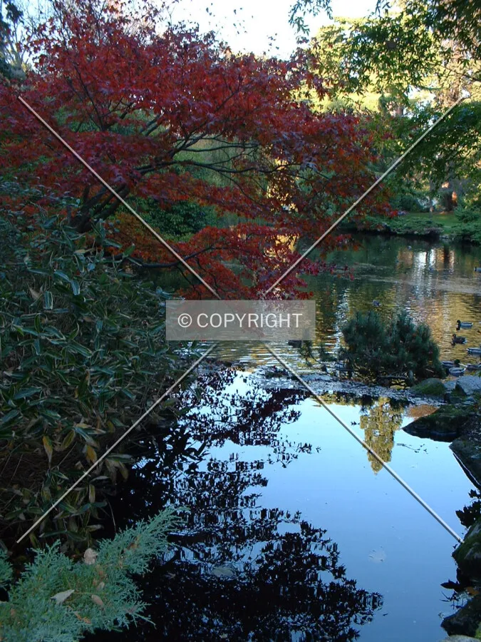 Beacon Hill Park Gardens