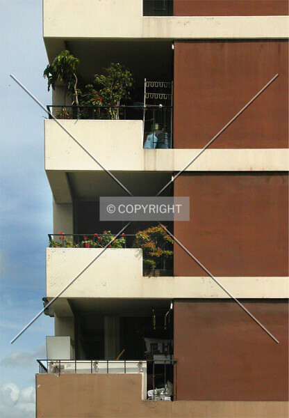 Photo 450-053-708