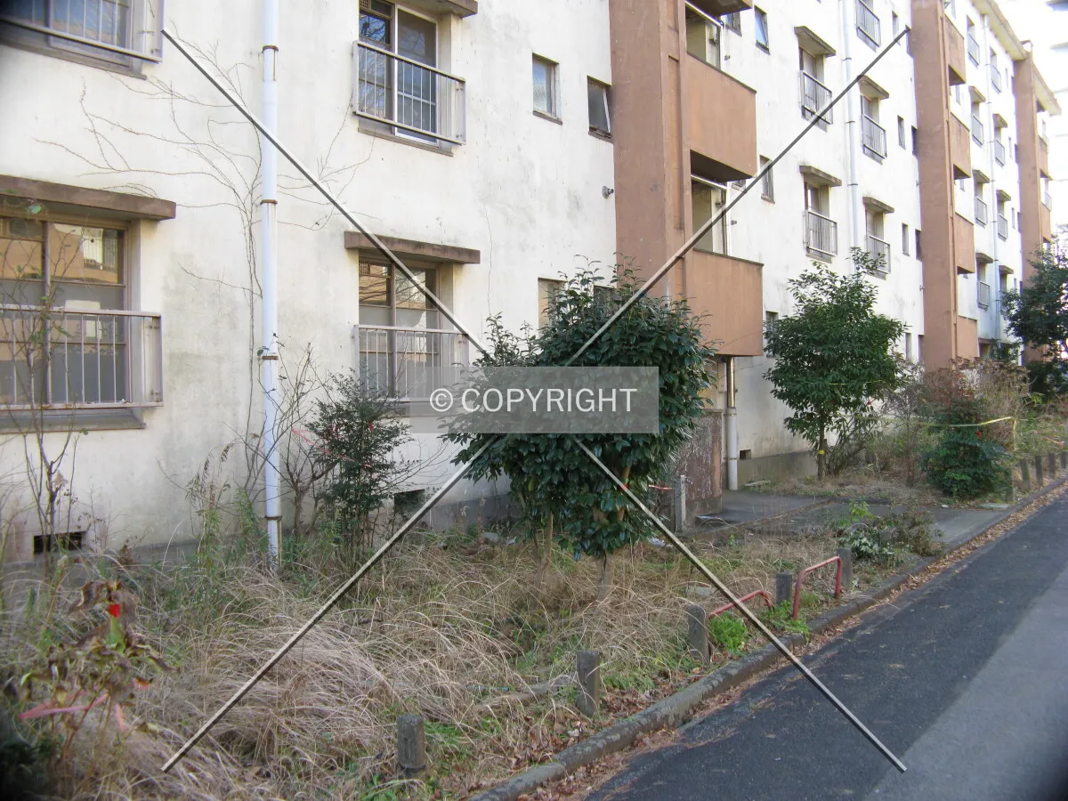 Photo 450-114-766