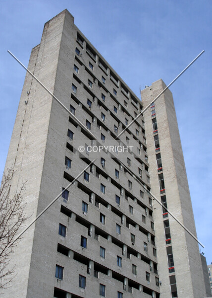Photo 450-798-968