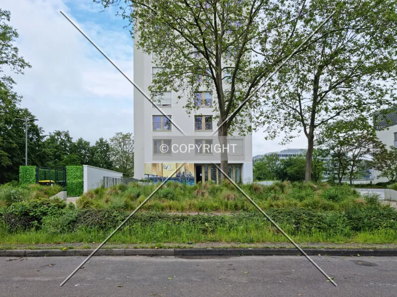 Photo 451-004-797