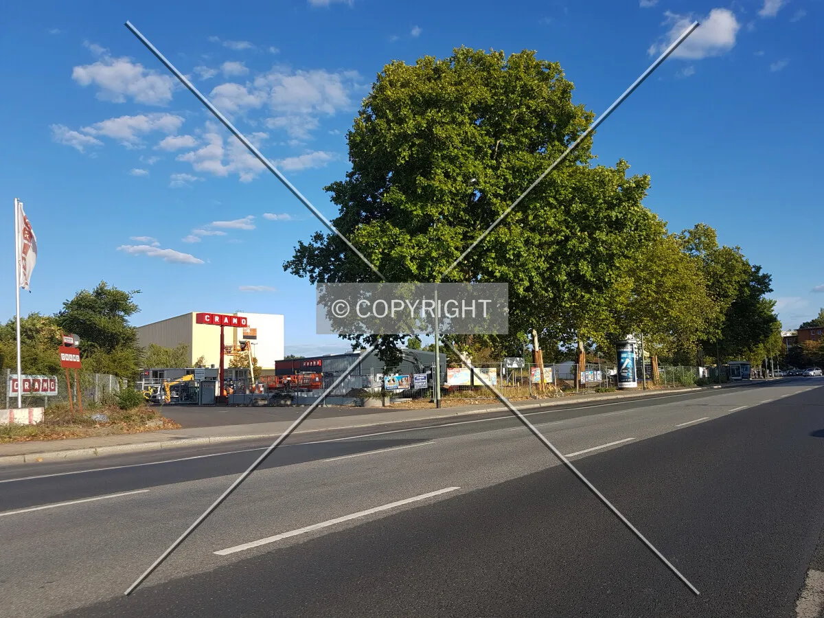 Photo 451-290-972