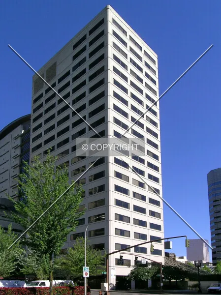 Photo 451-531-434