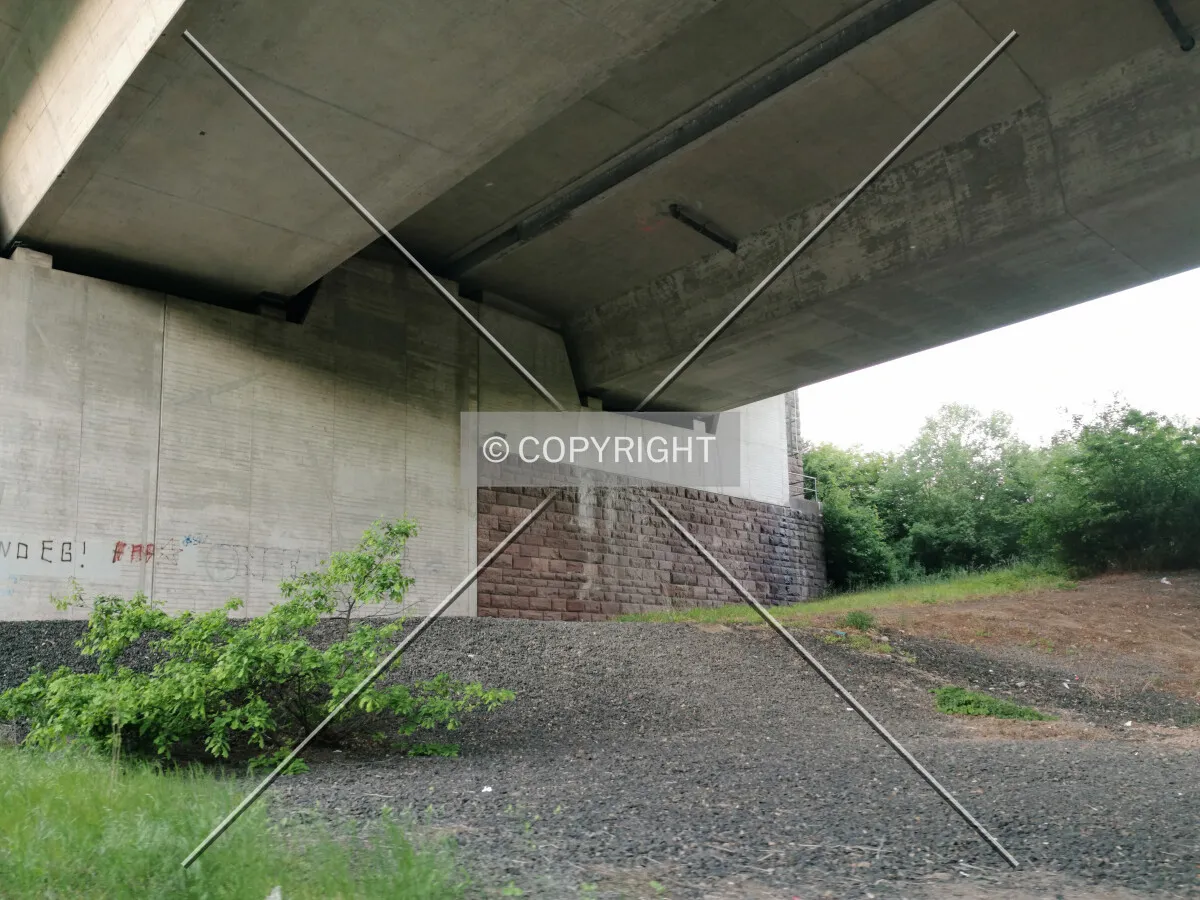 Photo 451-661-798