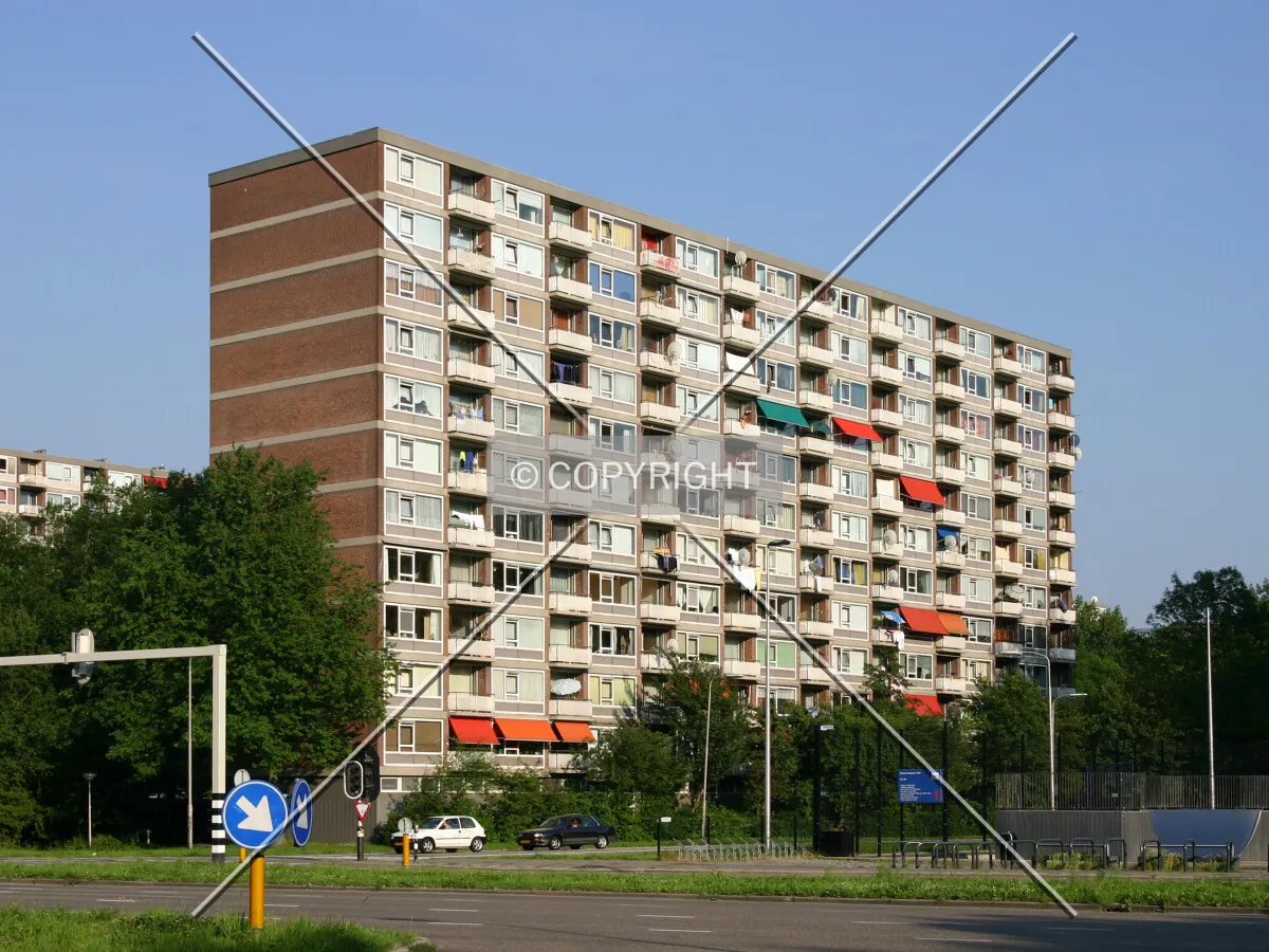 View from the northwest