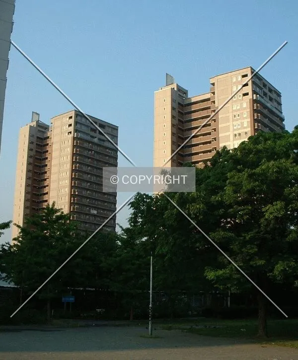 Project view