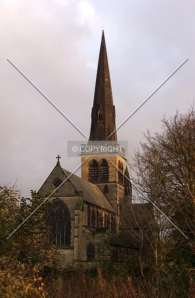 Photo 452-117-641