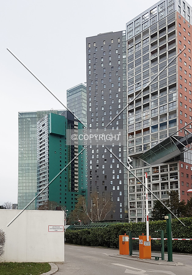 Photo 452-134-811