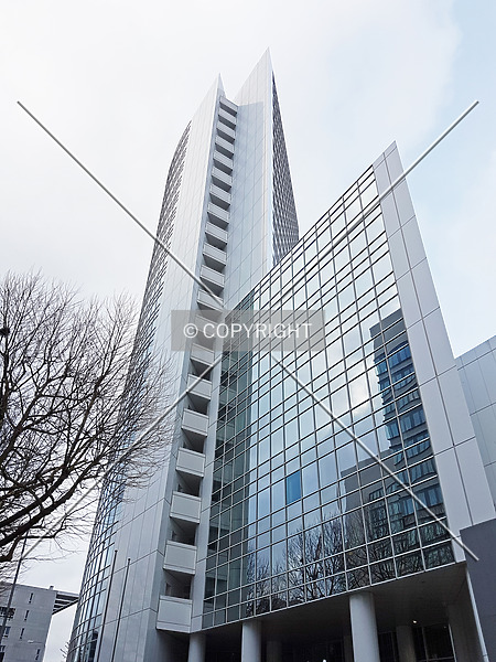 Photo 452-176-799